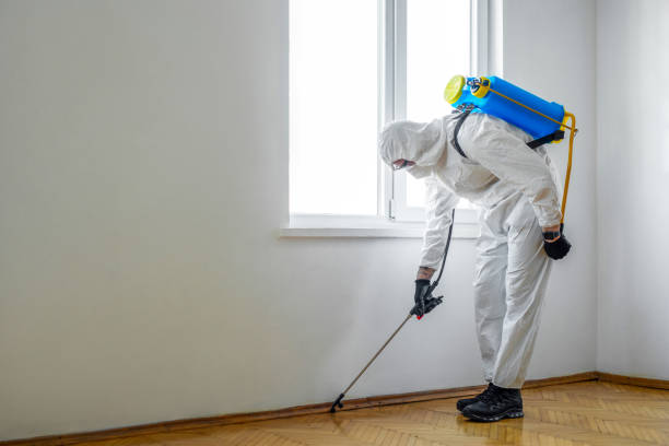 Pest Prevention Services in Chelsea, MI